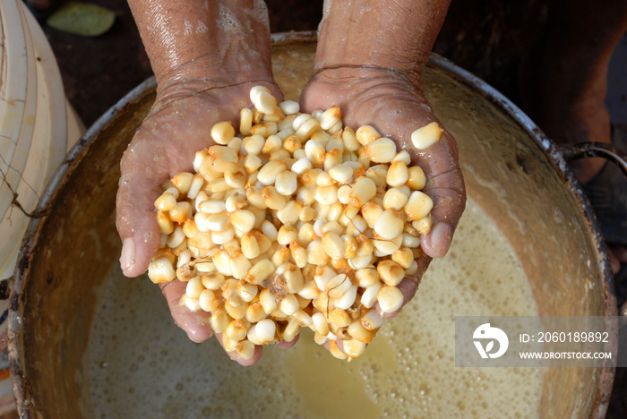 maiz lavado para nixtamal tortillas