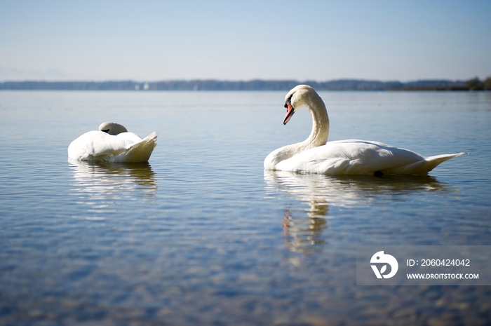 德国慕尼黑周边基姆湖(Chiemsee)