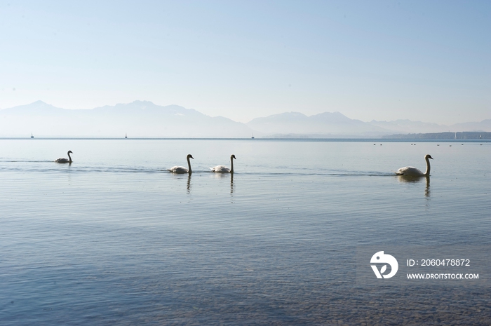 德国慕尼黑周边基姆湖(Chiemsee)