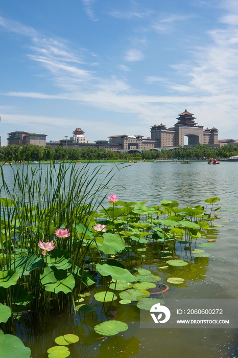 北京西客站莲花池公园风光