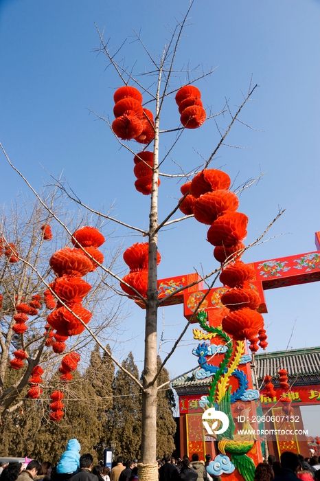 2008年北京地坛春节庙会