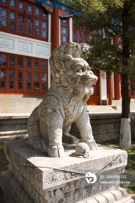 北京大学