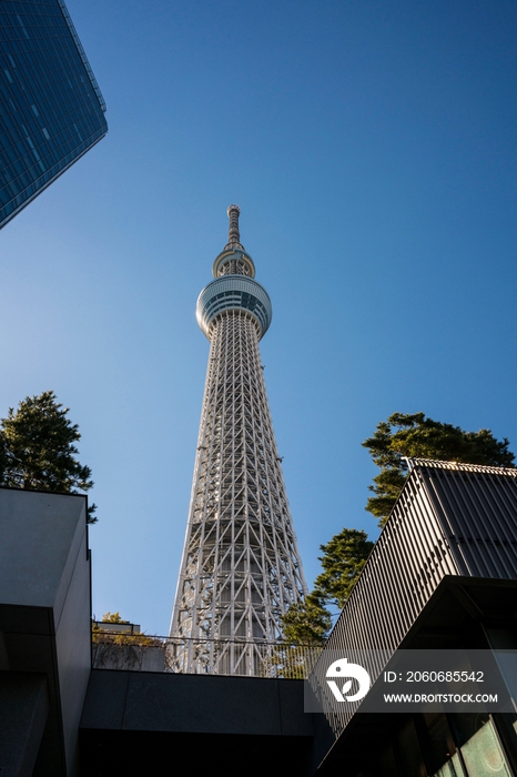 日本风光