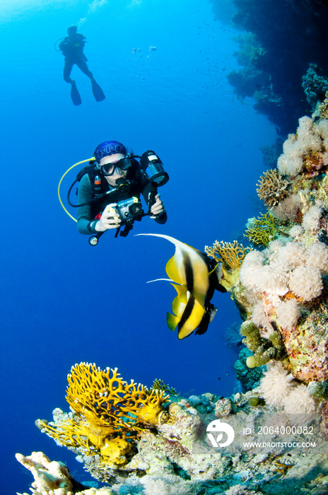 Plongeuse et photo sous marine, Mer Rouge, Egypte