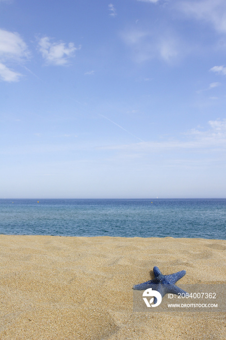 法国科西嘉岛空旷海滩上的蓝色海星