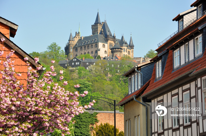 Wernigerode mit Schloss - Sachsen-Anhalt