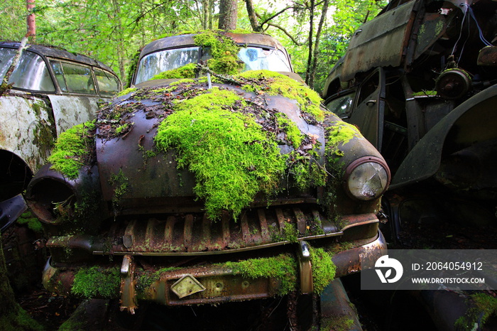 Rostiger Oldtimer im Wald