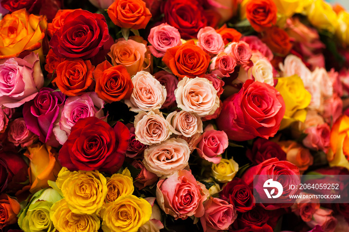 beautiful bouquet of multicolored roses