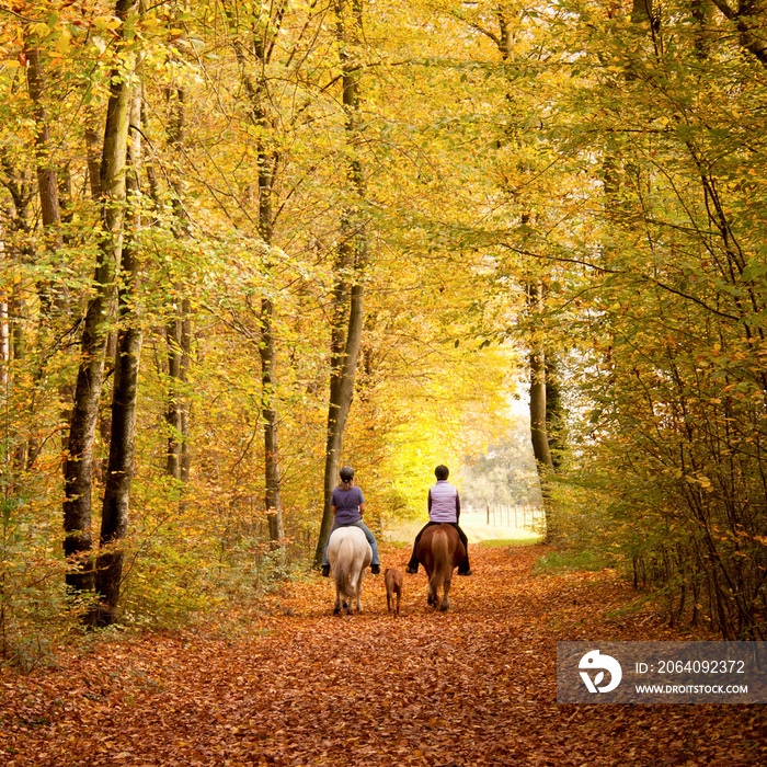 Herbstlicher Ausritt