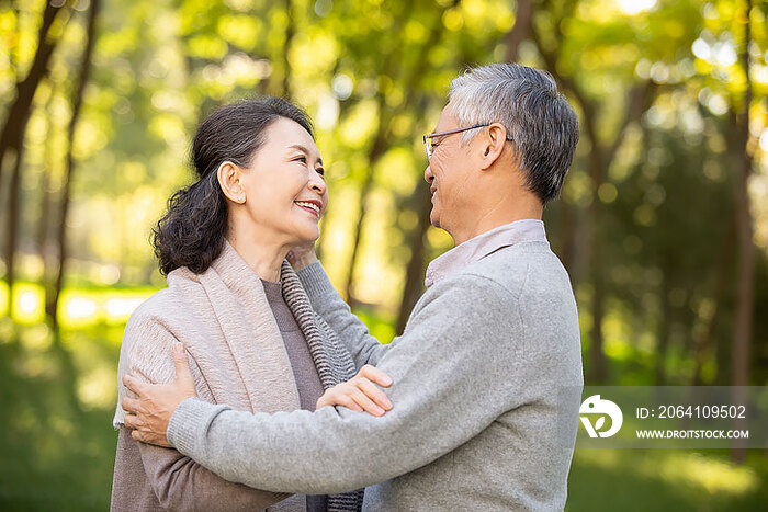 甜蜜的老年夫妇