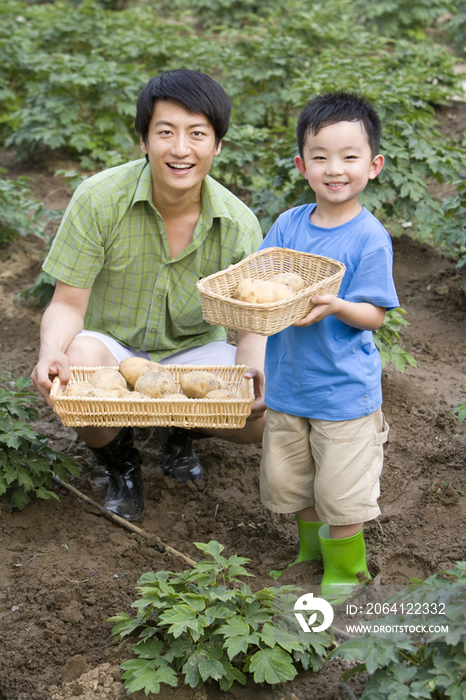 父子在现代农庄采摘