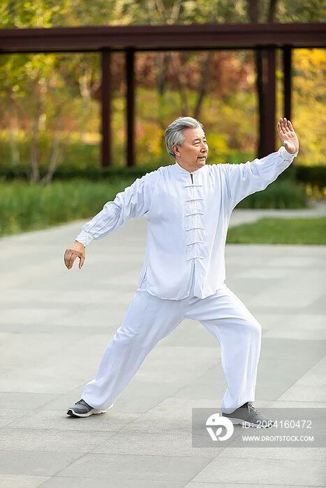 老年男子在公园练太极