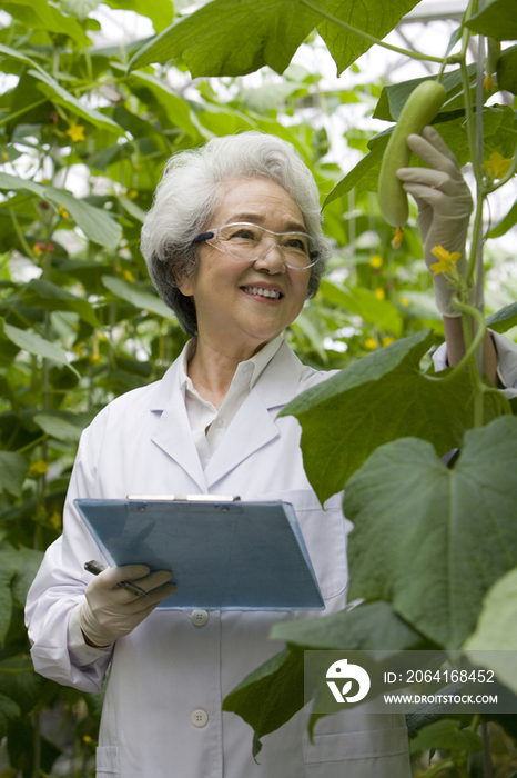 农艺师在现代农庄做科学研究