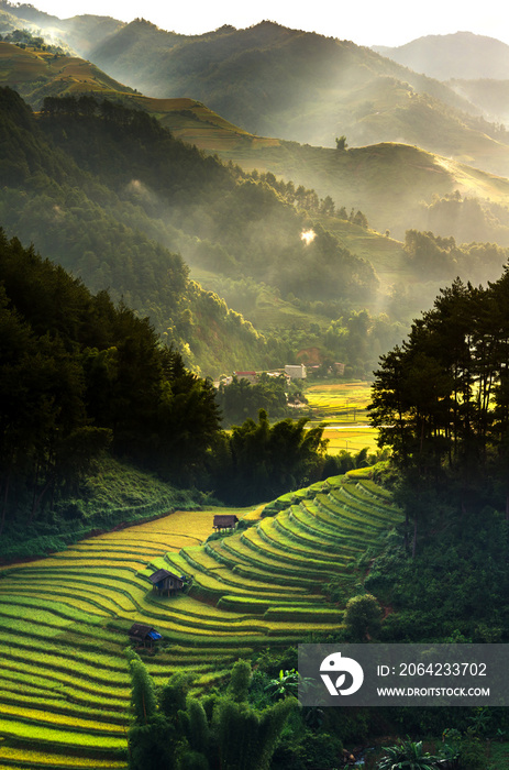 Top view of Rice terraced fields on Mu Cang Chai District, YenBai province, Northwest Vietnam