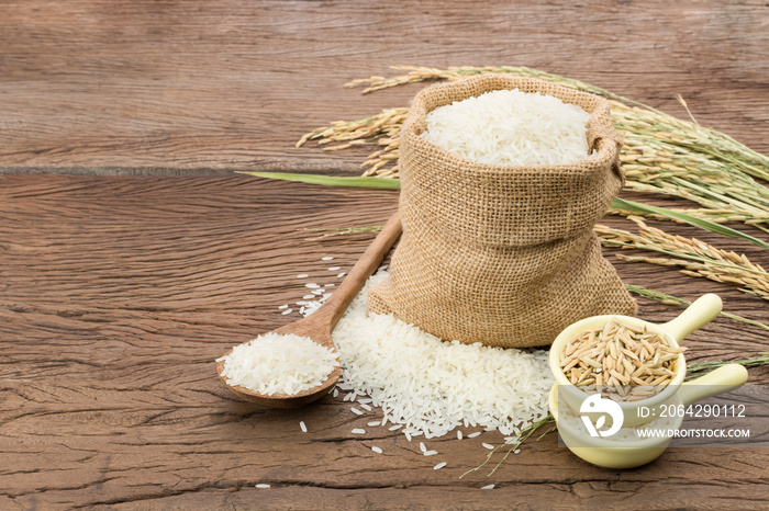 装在袋子里的有机白米或茉莉花米，稻穗放在木地板上