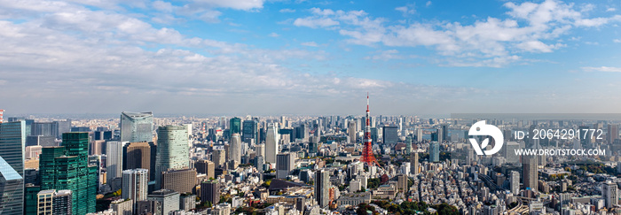 东京中心全景鸟瞰图