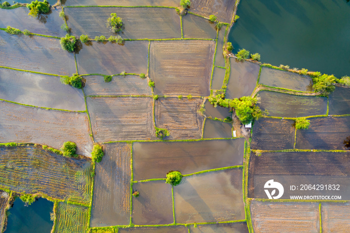 Aerial view of agriculture in rice fields to prepare planting. Abstract landscape