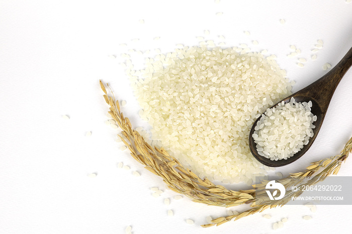 Japanese rice in a wooden spoon Placed beside a pile of Japanese rice on isolated white background. 