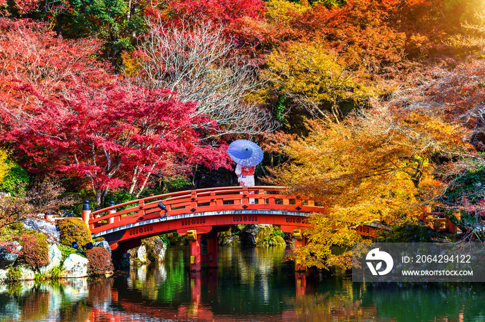 日本秋季公园里穿着日本传统和服的亚洲女人