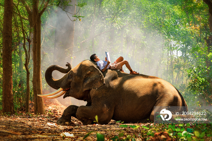 泰国学生在大象背上看书。男孩看书，还有一头有森林的大象