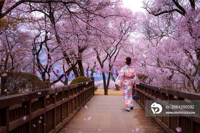 旅行女孩走在樱花花园的木桥上