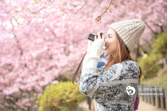 在日本松田，迷人的女人正在享受樱花