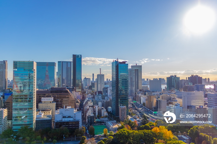 東京のビル群と朝日