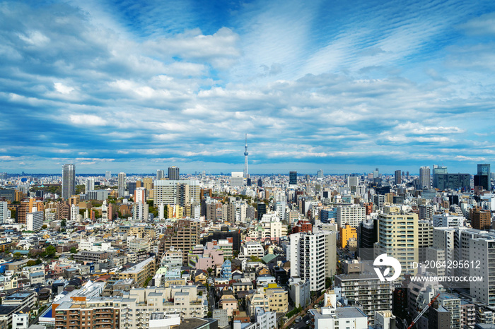 日本东京城市景观全景。