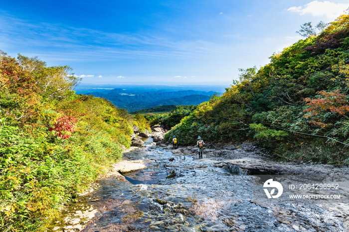 栗駒山紅葉の季節の渓流を横切る登山道