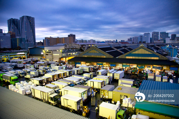 Tsukiji fish market