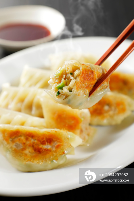 焼き餃子　Gyoza (Japanese grilled dumplings)