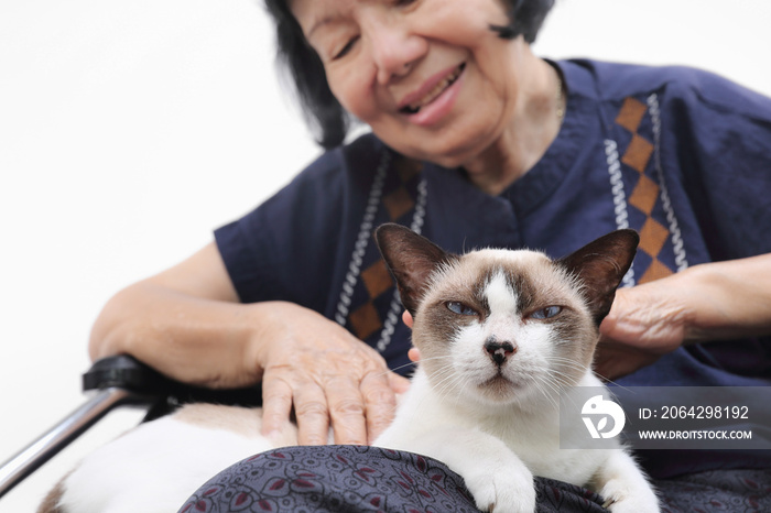 一位老年妇女和她的猫在一起放松。