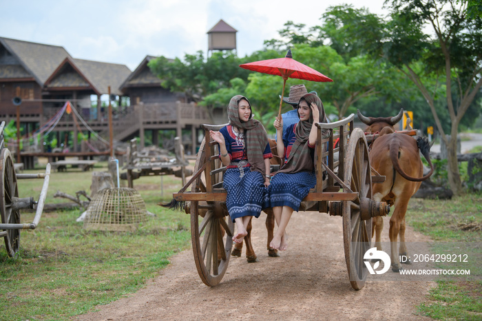 泰国的牛车。牛车上的农妇。