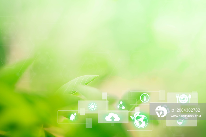 Blurred greenery background in the forest with copy space, Sustainable energy with technology icon, 