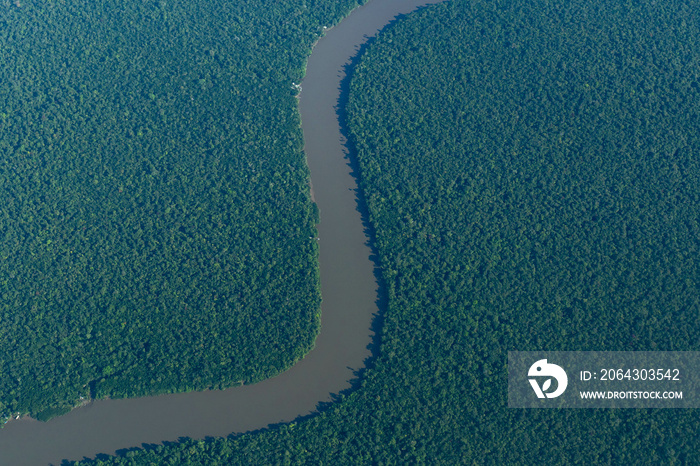 巴西一片茂密的亚马逊雨林的鸟瞰图，显示了森林和一些绵延的地区。
