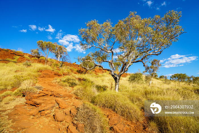 徒步前往西澳大利亚卡里基尼国家公园的乔夫雷峡谷了望台23