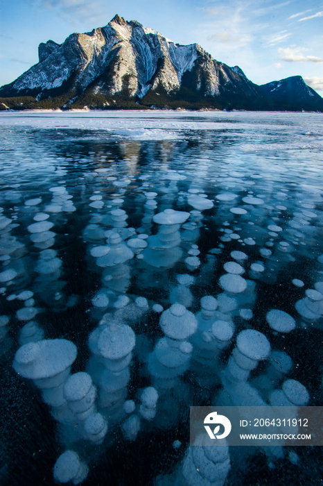 Frozen Methane Bubbles in Abraham Lake, Canada