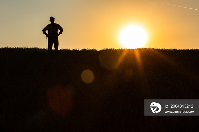 日落时分，一位资深农民站在田里检查作物的剪影。