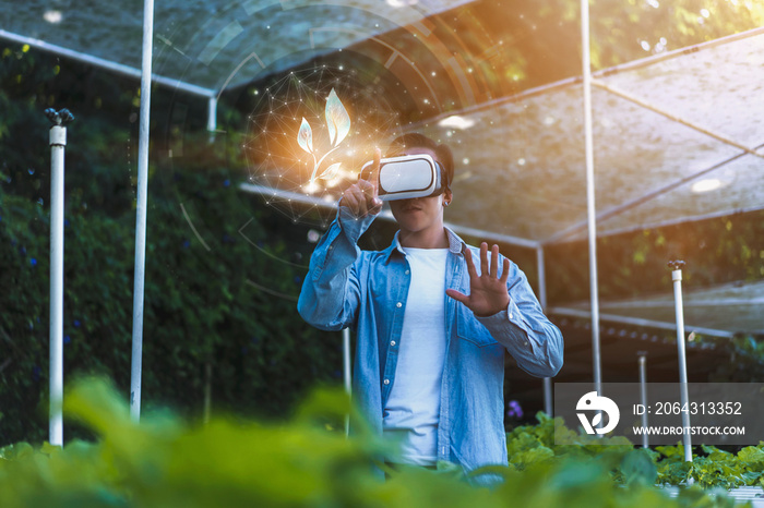 Farmer farming hydroponic vegetable and plant using modern AI virtual reality VR headset technology,