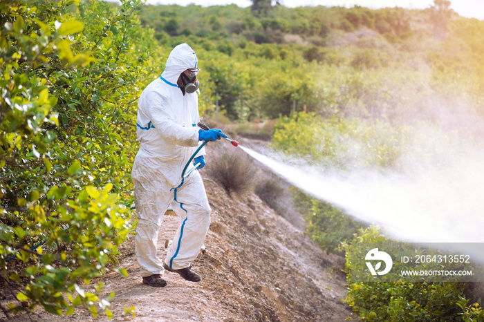 Spray ecological pesticide. Farmer fumigate in protective suit and mask lemon trees. Man spraying to