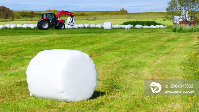 Bale of hay wrapped in plastic foil, Norway