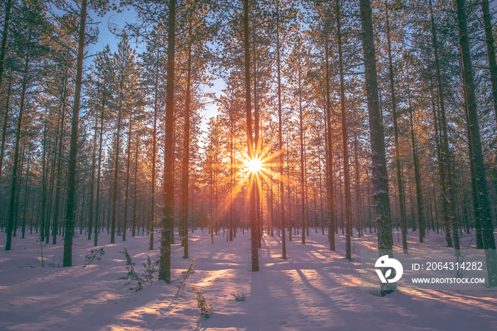 Winter landscape from Sotkamo, Finland.