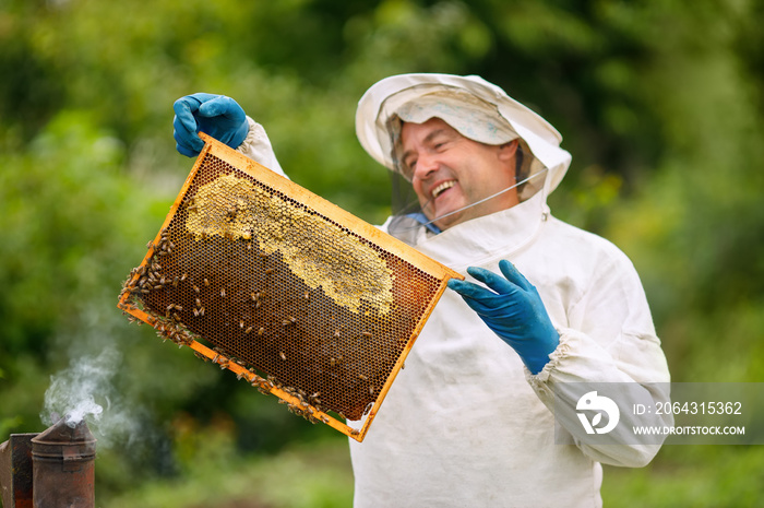 养蜂场养蜂人