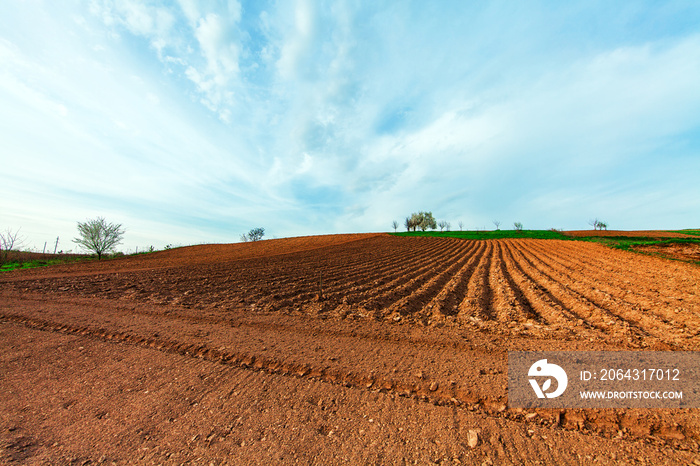 plowed field and cloudy sky in sunset