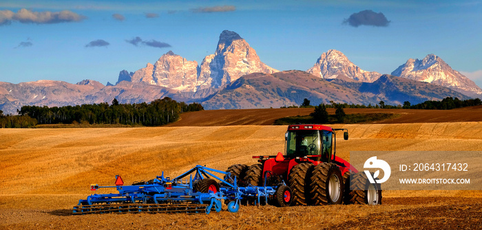 拖拉机耕作地面收割秋季提顿山脉崎岖不平的作物