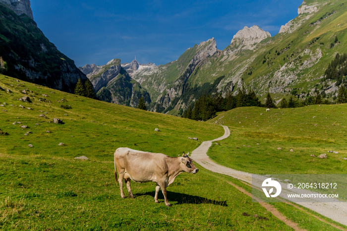 Wunderschöne Erkundungstour durch das Appenzellerland in der Schweiz. - Appenzell/Alpstein/Schweiz