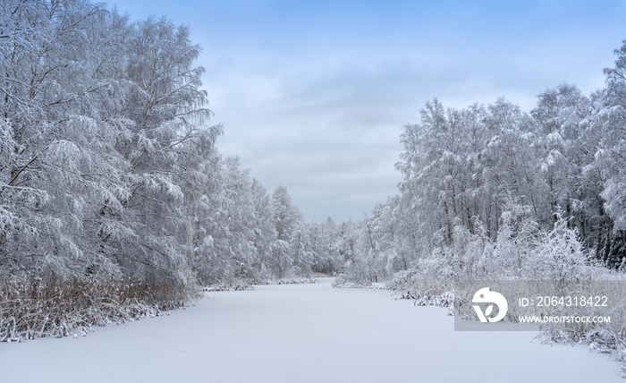 Winter landscape with an ice-covered pond and snow covered trees a cold december day just outside St