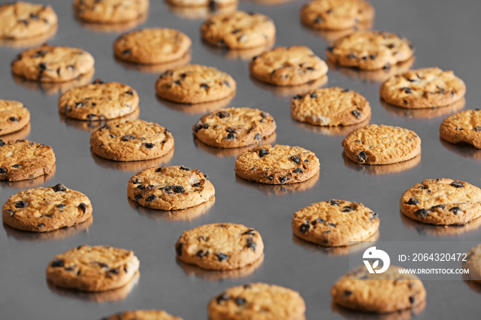 Production line of baking  cookies, closeup