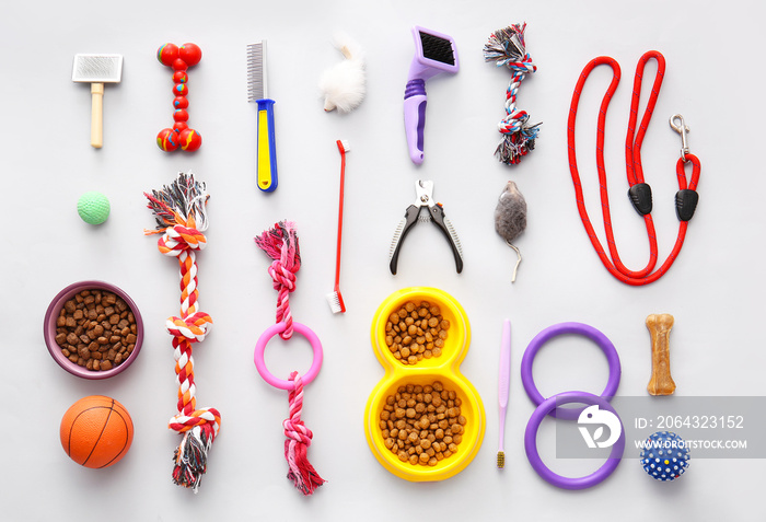 Different pet care accessories on light background