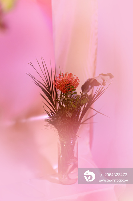 pink flower in vase